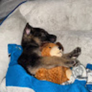 Meet your Posher, Leonardo